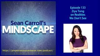 Mindscape 133 | Ziya Tong on Realities We Don't See