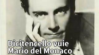 Dicitencello vuie(그녀에게 내말 전해주오)-Mario del Monaco