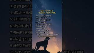 참는 게 아니라 다스리는 사람의 태도 #화를잘푸는사람 #관계의기술 #마음조절 #코니카드쇼츠