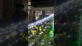 শান্তিধাম কামার পুকুর ভ্রমন#short #video #হ য ব র ল
