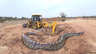 JCB 3dx Backhoe fully Loading Mud in Mahindra 475 JCB khudai work JCB video #jcb #jcbvideo