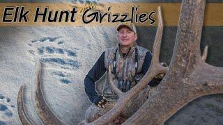 Hunt grizzly bear country on foot! Public Land Elk Hunting