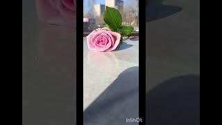Полное видео на канале #близнецовоепламя #истиннаялюбовь