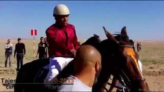 course tajerouine 28-10-2013