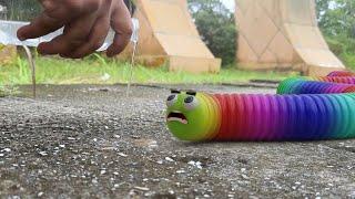 wormet  or slither real life season 1
