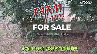 FARM LAND FOR SALE TAURU ROAD CALL: +91 9899100018