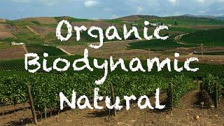 Organic vs Biodynamic vs Natural Wines