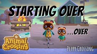 Polarbelle Animal Crossing Wintercore Starting Over on a Brand New Island | Peppy Crossing