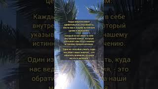  Следуй за светом: куда тебя ведет твоя энергия?
