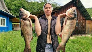 From Mountain to Market: A Fresh Fish Expedition! Canning fish in the new kitchen!