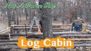 Papa's Pioneer Log Cabin Build