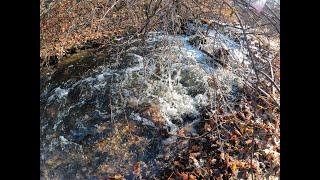 Exploring The White mountains Appalachian trail #hikingadventures