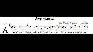 Cantus ad communionem: Ave verum corpus