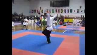 World Championships IAKSA 2013 Soft style / Wushu dr Srdjan Brkovic - Serbia