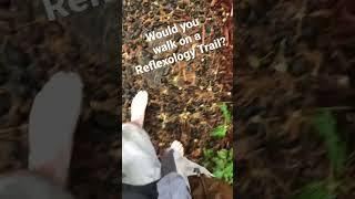 Reflexology Trail #shorts