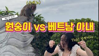 [국제커플] 원숭이한테 까불다 결국.. 원숭이 vs 베트남 아내 | 베트남 여행 ep. 12 |