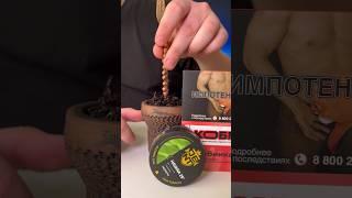 Микс дня клубничное мохито/микс для кальяна #микс #jent #кобра #табакдлякальяна #кальян #hookah