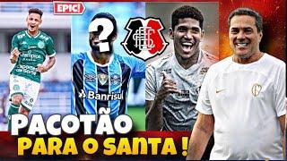 ️ ️O ELENCO ABSURDO PARA O SANTA CRUZ VOLTAR AO BRASILEIRÃO DE 2025! QUEM PODE CHEGAR?