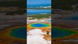 Yellowstone National Park,USA  #shorts #youtubeshorts #usa