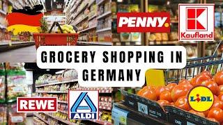 Grocery Shopping in Germany| Where to Buy Your Essentials? | Desi in Germany 