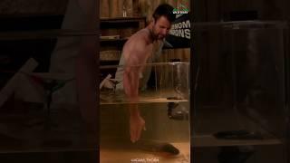 Don't Mess With An Electric Eel 