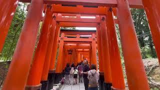 JAPAN VLOGS - NARA DIARIES 7 (Kasugataisha Shrine)