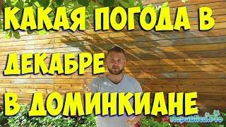 Какая погода в декабре в Доминикане? (доминикана. доминикана2017. доминикана цены. доминикана видео)