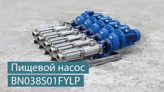 Пищевой насос SOLTEC ® BN038S01FYLP для перекачивания кондитерских наполнителей