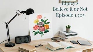 Ripley's Believe it or Not! - Episode 1,705 - Escape Artist