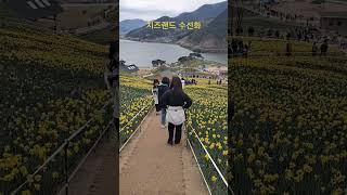 #구례치즈랜드#수선화