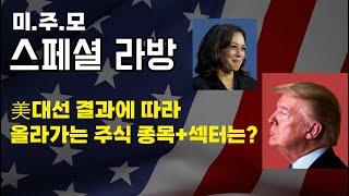 트럼프 vs 해리스 -선거 결과와 주식 시장에 미치는 영향 및 주요 종목 분석 (TSLA, SMCI, NVDA, SOFI, CPNG, BFLY, ALAB, PLTR, CCL)