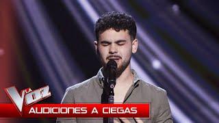 Diego García - La quiero a morir | Blind Auditions | The Voice Spain 2024