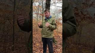 Judy Woods animals
