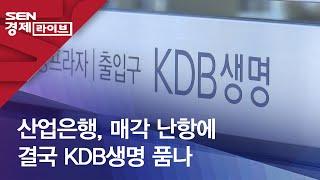 산업은행, 매각 난항에 결국 KDB생명 품나