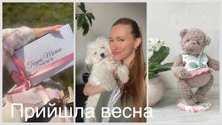 Прийшла весна, тедді, вʼязані іграшки, садимо розсаду )