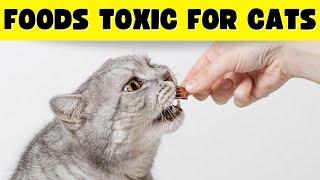 18 Foods That Could Kill Your Cat? TOXIC Foods for Cats Revealed! ‍