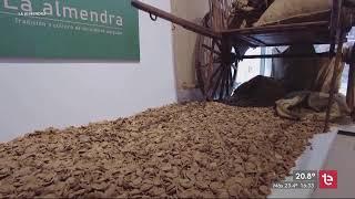  EN DIRECTO | Pregón Semana Santa Elche 2025