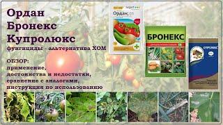 Ордан, Бронекс, Купролюкс - альтернатива ХОМ и Абига-Пик. Обзор фунгицидов