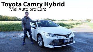 2019 Toyota Camry Hybrid Executive Test / Besser als das teure Pendant - Autophorie