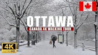 Ottawa Canada Winter Dec 2024 First Snow 4K Walking tour