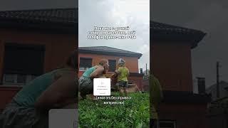 Я  мама в декрете и расскажу как твой телефон может приносить +15к в месяц. Мой тг @svetlanakov13