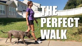 The Perfect Walk