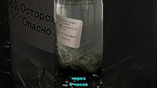 Выращиваю кристаллы 