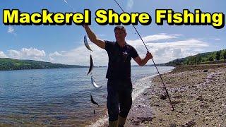 Easy Way - How To Catch Mackerel for Bait Fishing