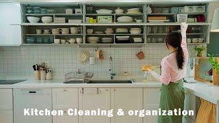 [Vlog] Neat kitchen organization and cleaning / Growing plants at home / 5 home-cooked meals 