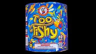 Too Fishy - 200 Gram Cake - Winda Fireworks