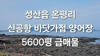 서귀포시 성산읍 온평리 신공항 바닷가접 양어장 5600평 급매물 010 4436 0401 제주도부동산 토지 매매 급매물 http://www.daolle.com