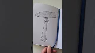 Simple Mushroom. #Artober2024 #Inktober2024 #Drawtober2024 #Mushrooms #Sketchbook #MushroomArt