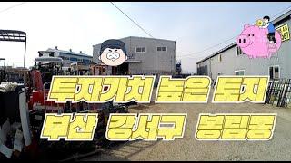 (매물번호140)투자가치 높은 토지, 부산 강서구 봉림동  502평, 평당 600만원