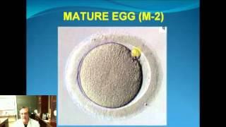 Webinar - Geoffrey Sher, MD - Optimizing Egg/Embryo Quality in IVF